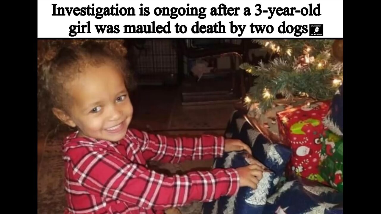 An investigation is ongoing after a 3-year-old girl was mauled to death by two dogs her mom said