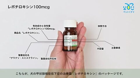 レボチロキシン100mcg