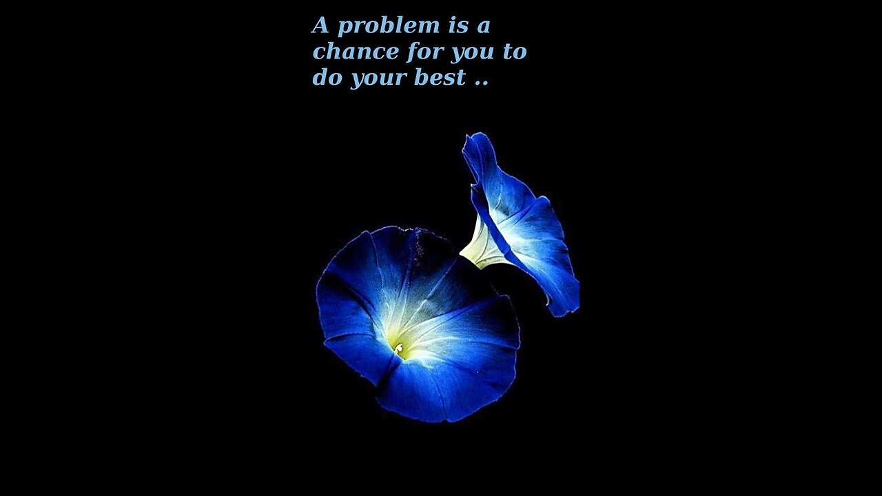 Abigail 🕯️ 348 ~ I Believe In Me ~Fearless Soul