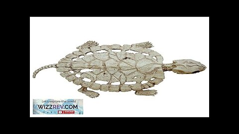 Turtle Skeleton Decoration Review