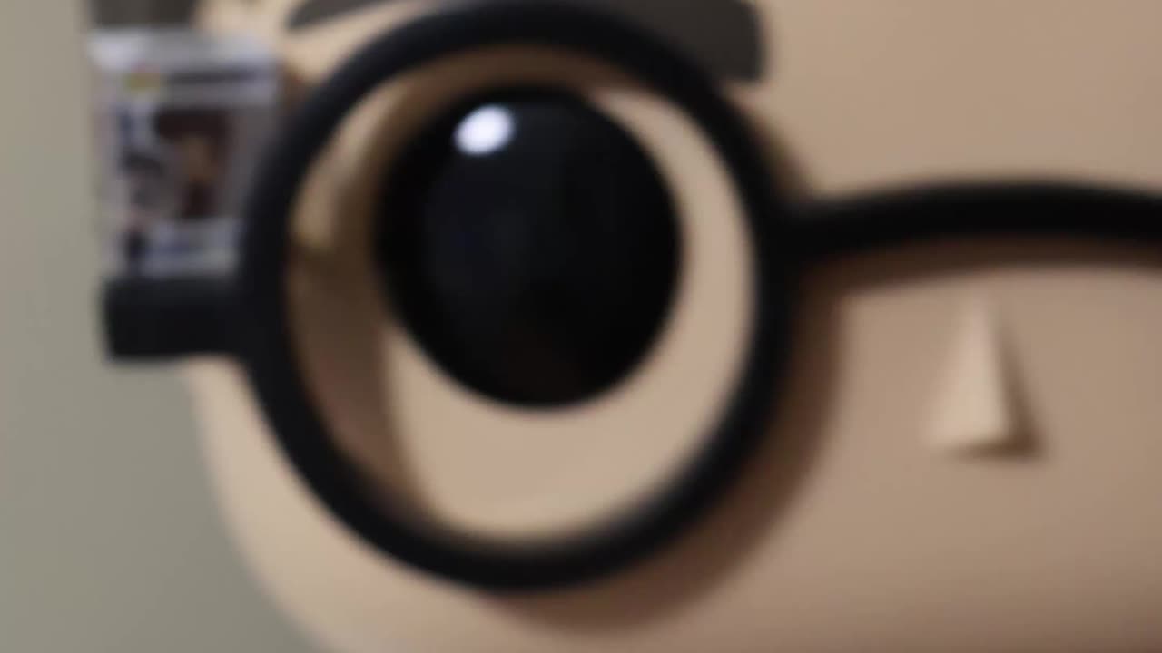 Lil To Big Funko Harry & Hedwig! #funko #harrypotter #hedwig #funkopop