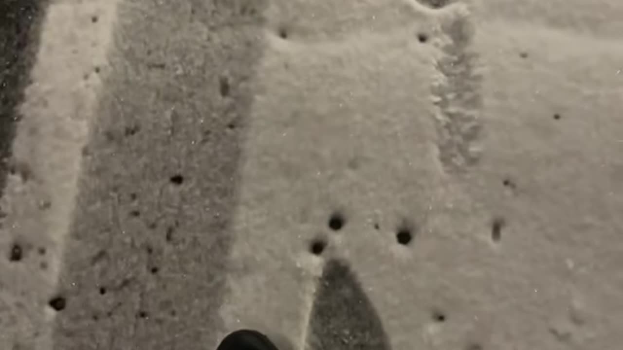 Goofy Snow Prints