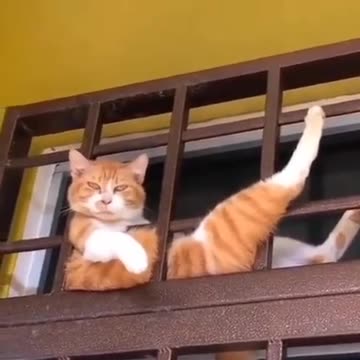 I am too sexy for you mortals 🤣