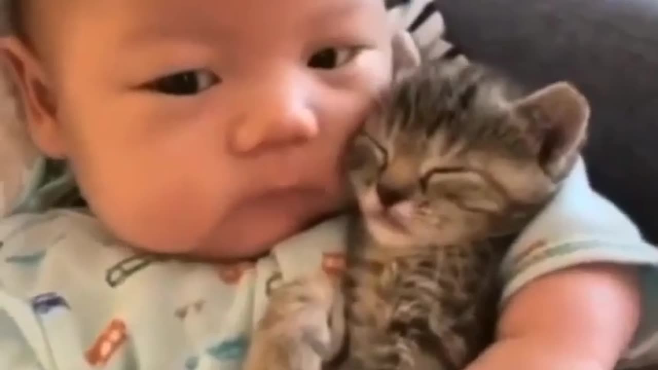 When a Cat Meets a Baby: Cuteness Overload 🐾✨