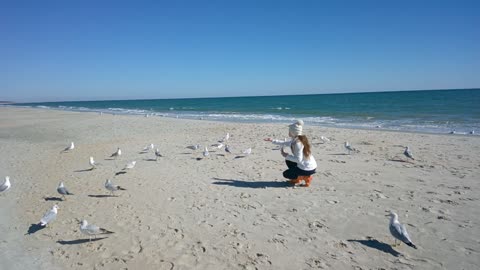 Wife making friends at the Beach