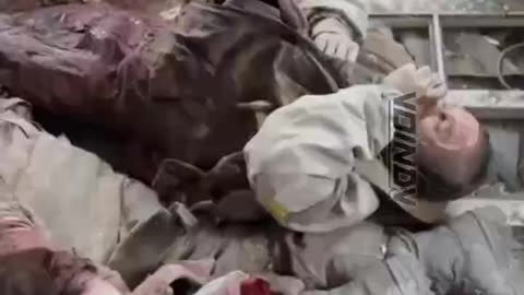 Warning! Carnage From Velikaya Novosyolka
