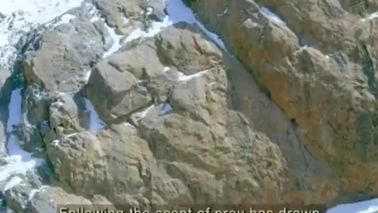 this is one of the most insane things I’ve ever seen