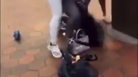 White woman gets attacked by niggers.mp4