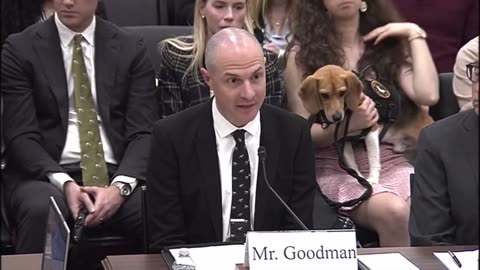 MACE: "What is the worst animal testing experiment you've ever heard of and uncovered?"