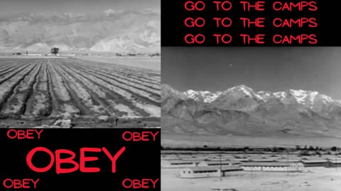 Obey This Album: An Obey LLC Production