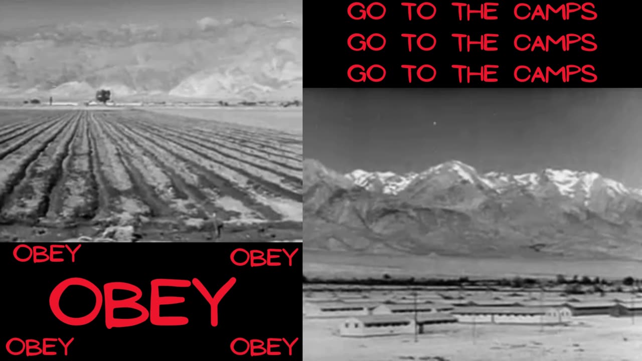 Obey This Album: An Obey LLC Production