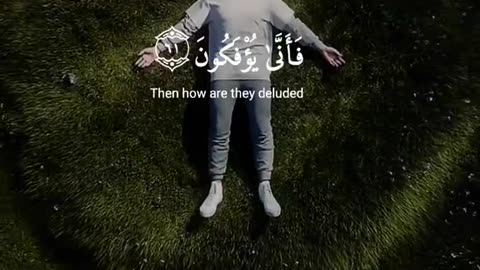 Subahanallah ♥️