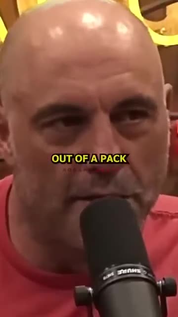 How Smart Are Coyotes?