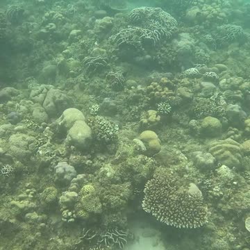 Snorkeling Morning!!