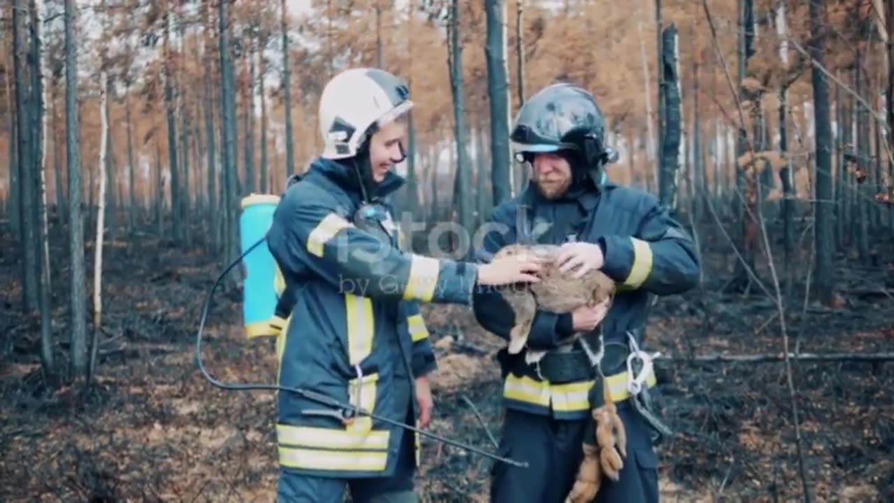 Animal Rescue in Burning Forest! 🚒 | Firefighters Save Wildlife | Animated Story