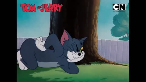 Funny Tom and Jerry_ The Feline’s Fiery Fight!