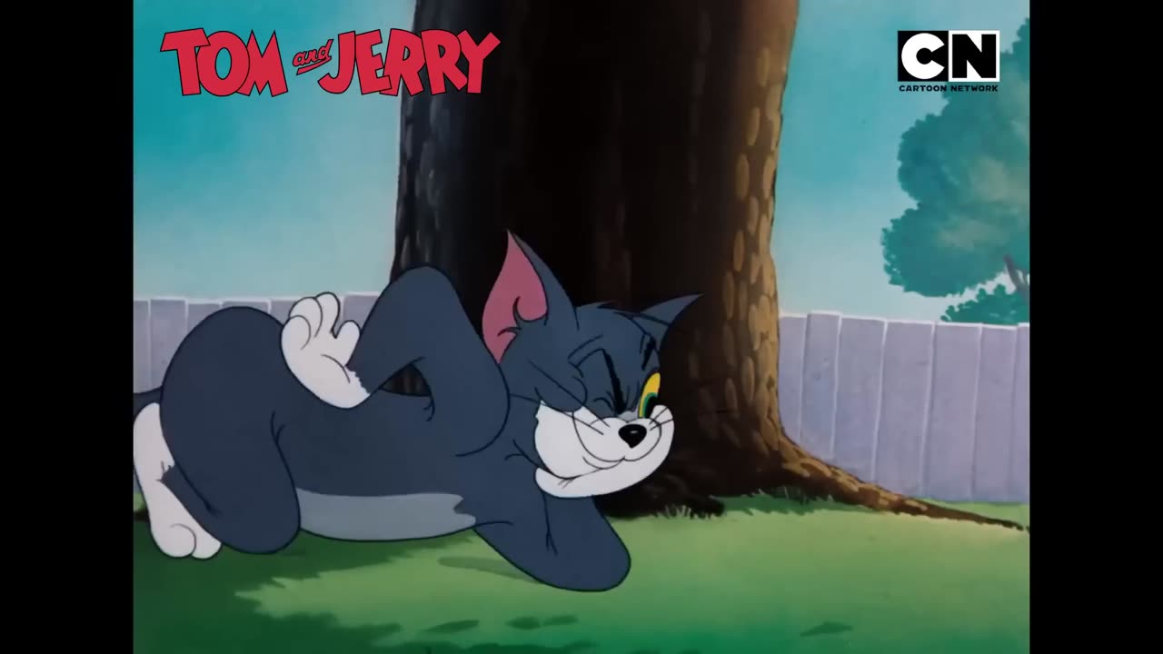 Funny Tom and Jerry_ The Feline’s Fiery Fight!