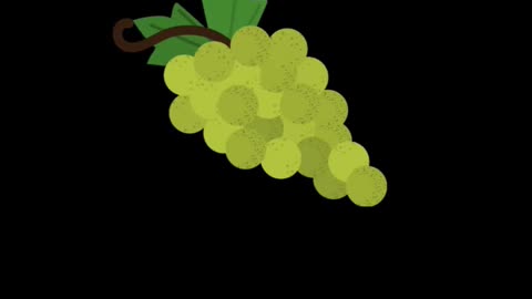 Fruits name! name for kids fruit! viral video!