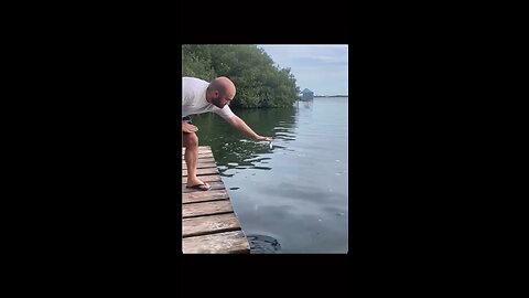 Man Feeding Fish for Successful Fishing