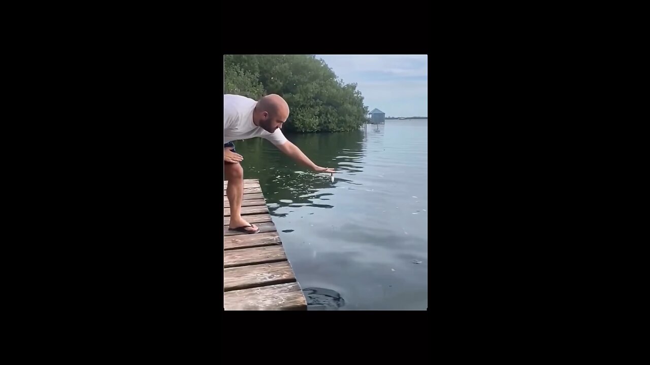 Man Feeding Fish for Successful Fishing