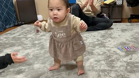 【New Year】Breaking News❗️ Ichika Stands Up😳‼️【8-Month-Old Baby】PSN Experiment