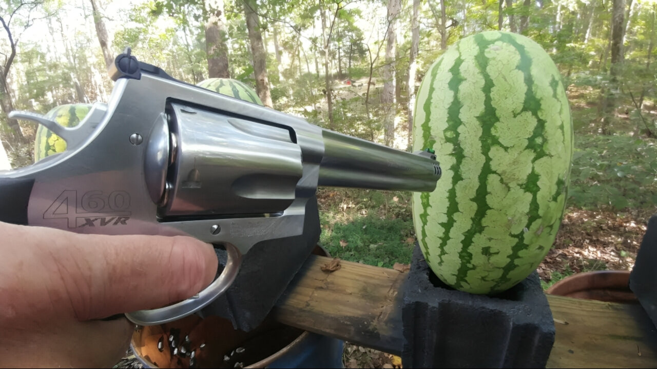 460 Magnum vs Watermelons