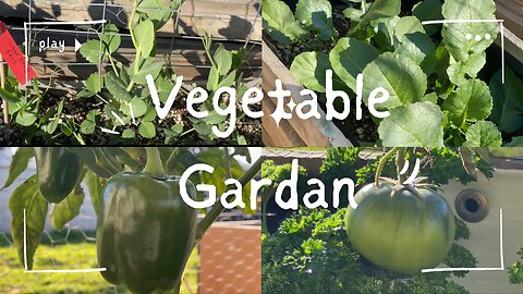 Vegetable Garden