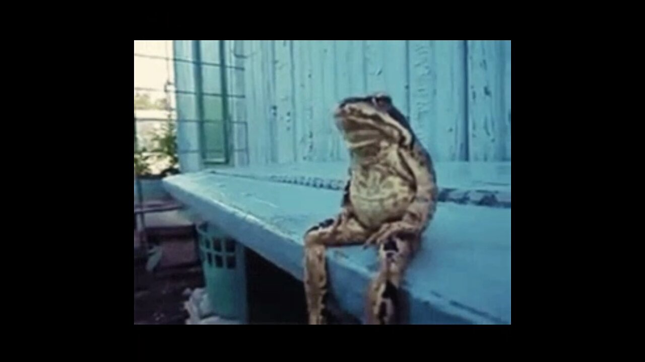 Jump Around - The Revolution Will Not be Televised