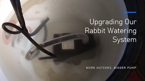 Upgrading Our Rabbit Watering System