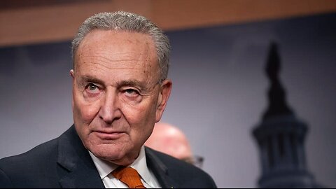 Schumer Presses for TikTok Ban to Be Delayed