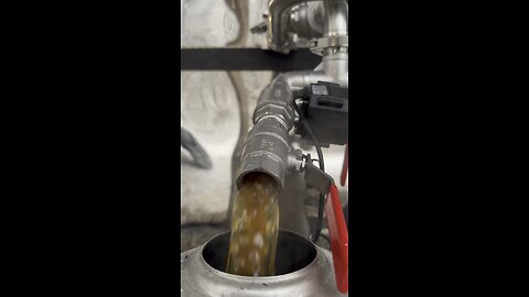 Fresh maple syrup off the evaporator