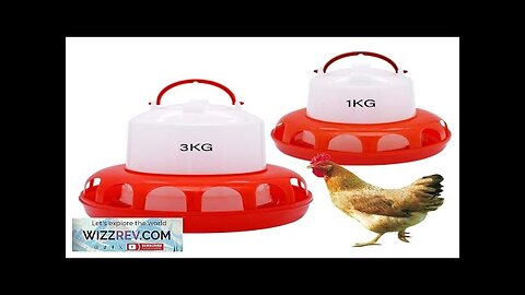 1kg/3kg Automatic Chicken Feeder Water Bucket Drinker Chick Hen Quail Pigeon Feeding Review