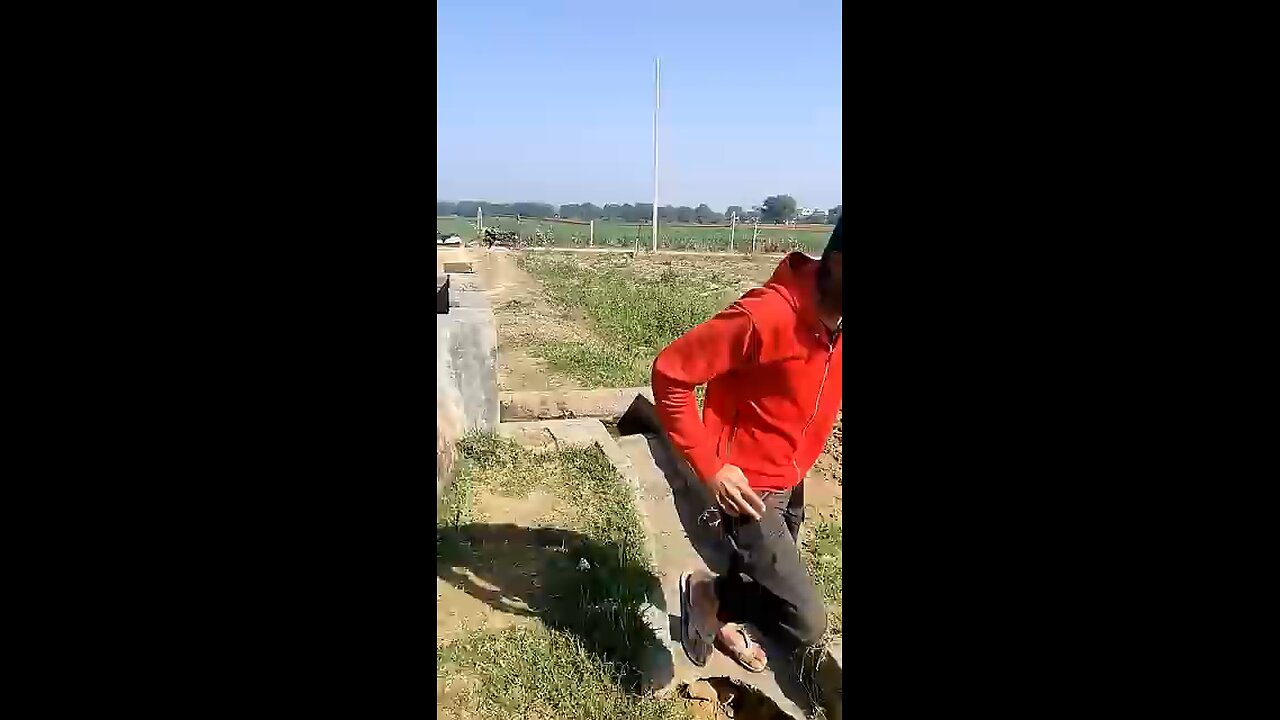 Anaconda snake chasing a boy for food