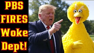 PBS FIRES The WOKE After President Donald Trump's Executive Order Destroying DEI