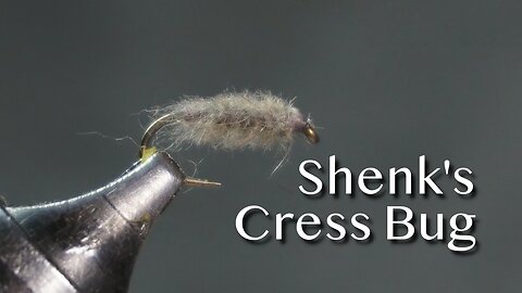 Shenk’s Cress Bug fly pattern