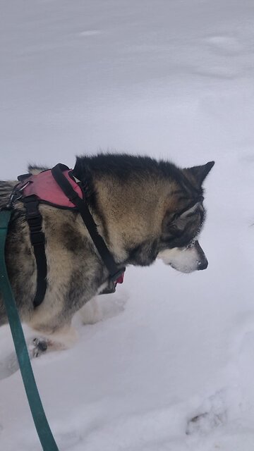 Thursday January 16, I have the power to release you or to crucify you.