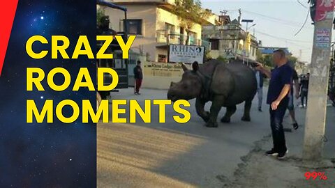 Incredible Road Moments Caught on Camera: Ridiculous Situations You Won't Believe - Must-Watch!