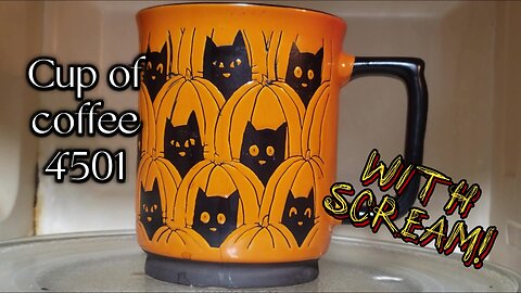 Cup of Coffee 4501---We Need a Kitty Day Care! (*Really Salty Language)