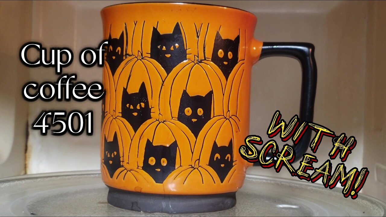 Cup of Coffee 4501---We Need a Kitty Day Care! (*Really Salty Language)