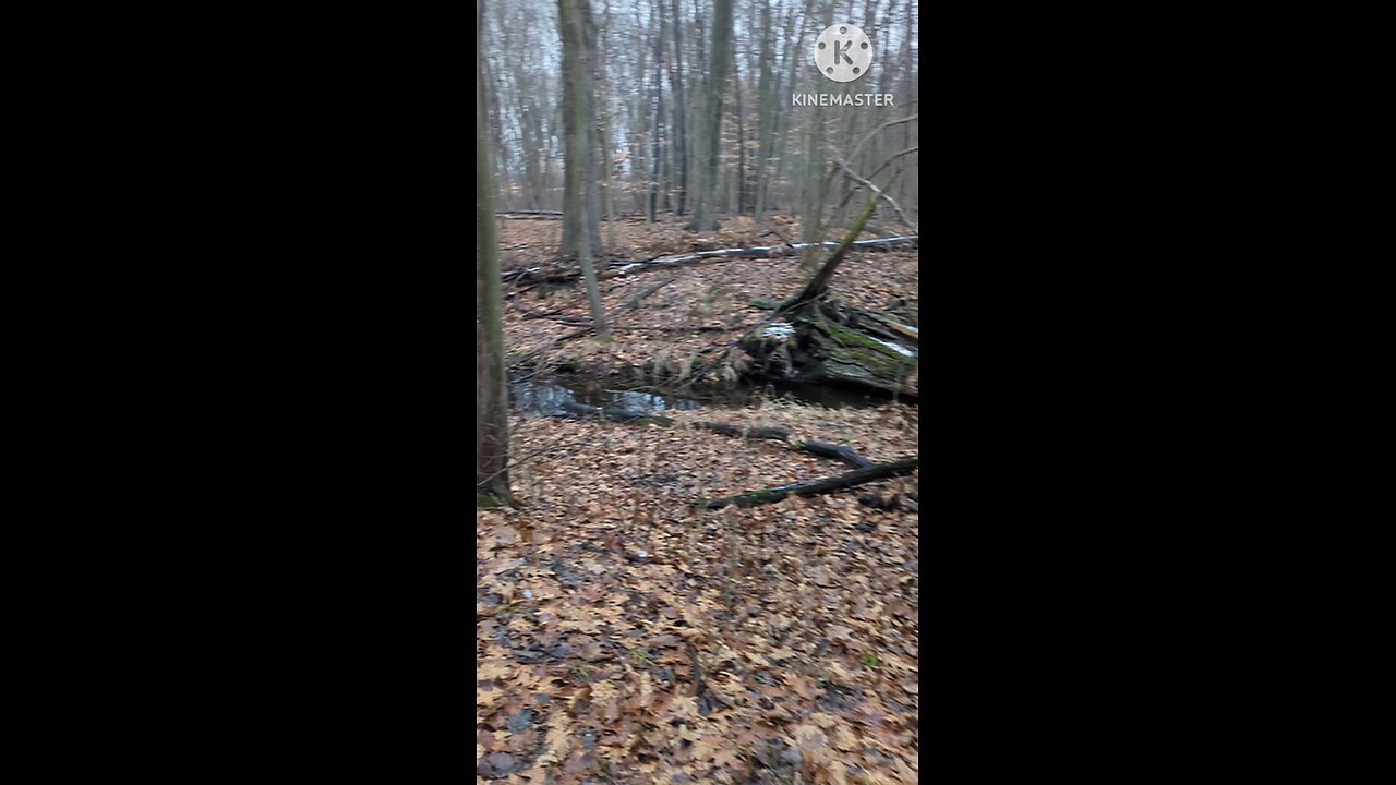 Christmas Eve Hike