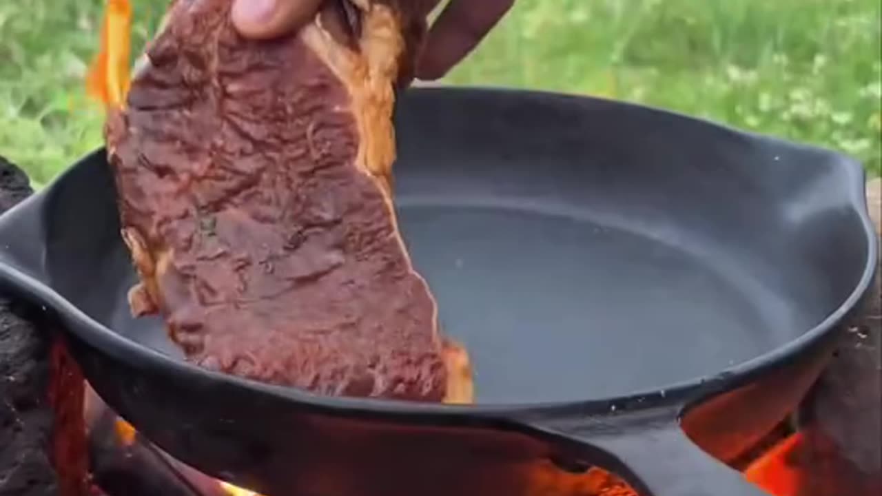Cooking steak sandwiches in nature, served with vegetable salad