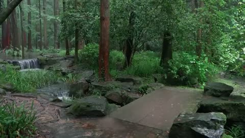 The streams and rain in the valley