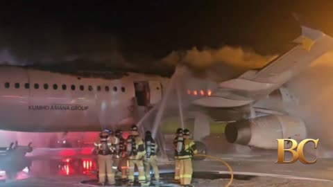 Passengers and crew evacuated as plane catches fire on South Korean runway