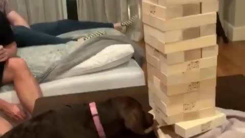 Whole Family Playing Jenga