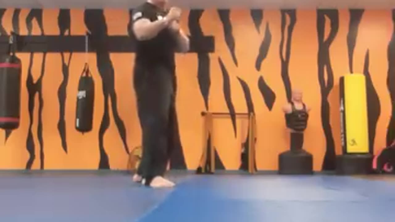 Tong Hap Kwan Hoshinsul Kicking Techniques