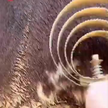 The Shocking Truth About Horse Branding!