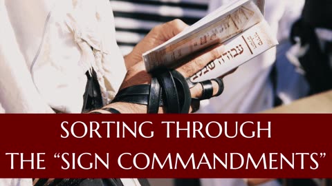 Sorting Through the “Sign Commandments” - February 2025 Outreach Israel News