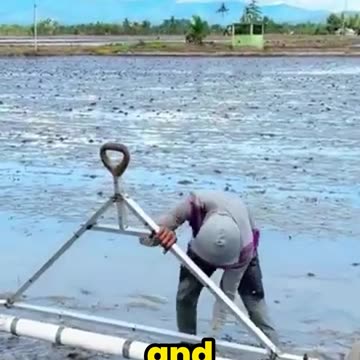Genius Farming Hack: Speeding Up Rice Planting with This Simple Tool!