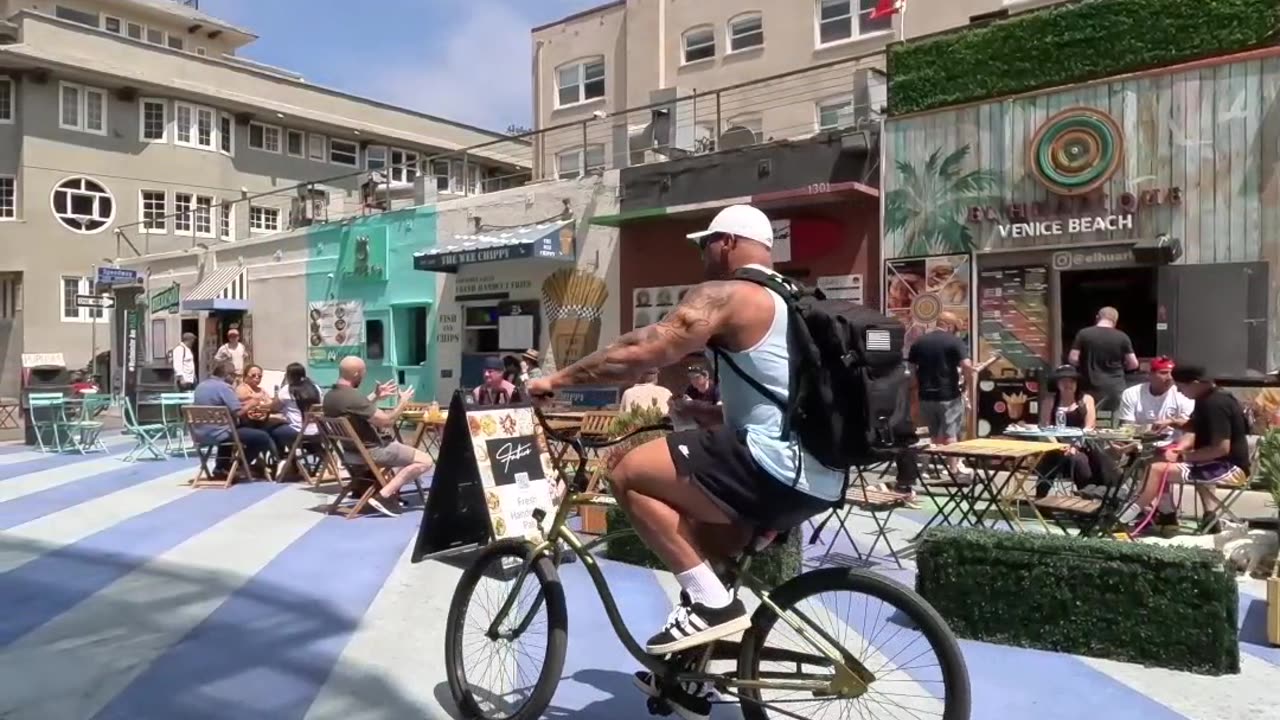 Beach Day Vibes Cycling, Dogs & Summer Fun!