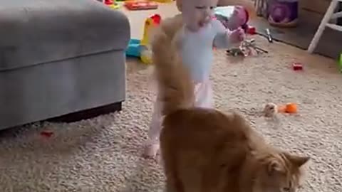 Adorable Fluffy Cat Helps Baby Take First Steps!!